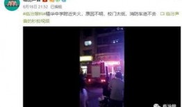 屯子最新爆料视频
